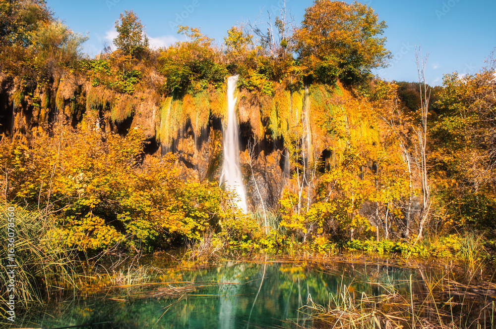 Fototapeta premium Amazing turquoise water in Plitvice Lakes National Park, Croatia. World heritage site. autumn landscape