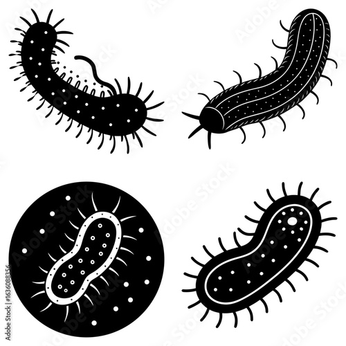 Illustration of various bacteria cells with flagella and pili in black and white style drawing format