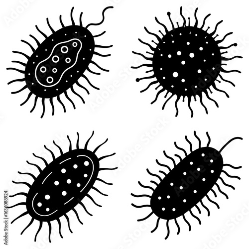 Illustration of four black and white bacteria cells with flagella and internal structures displayed clearly
