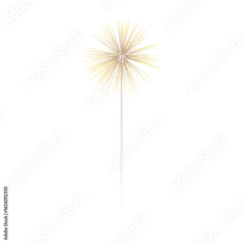 Sparkling golden firework with long stem against a plain background.