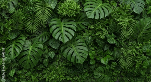 Lush Green Tropical Leaf Wall Texture