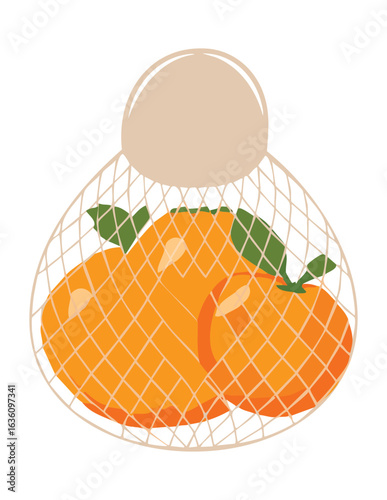 Reusable Mesh Bag with Healthy Orange Fruits - Vector Illustration