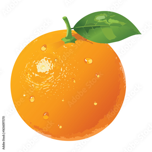 Ripe Orange Fruit with Water Droplets and Leaf - Vector Illustration