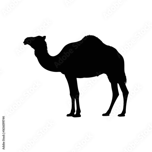 silhouette camel on a white background