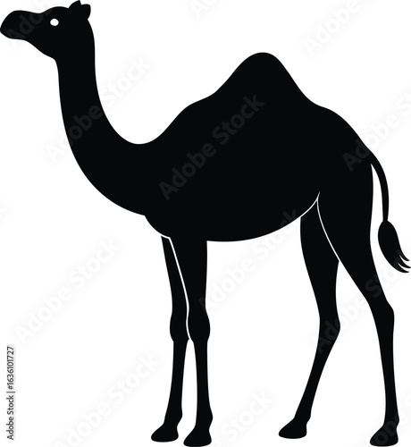 Dromedary Camel Silhouette