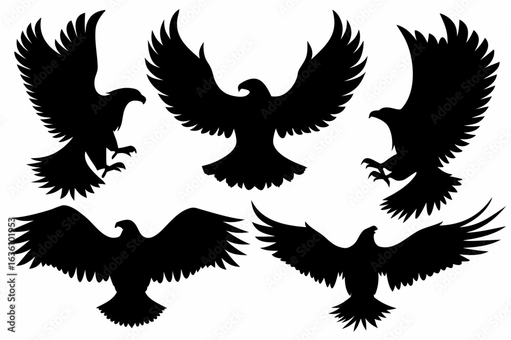 Obraz premium Collection of Eagle Silhouettes