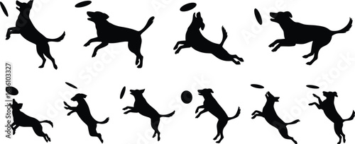 Dog, silhouette, frisbee, catch, jump, run, play, pet, action, black, vector, agility