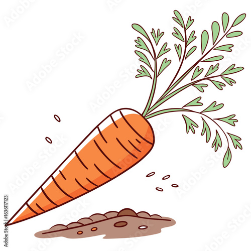 Carrot Vector Illustration