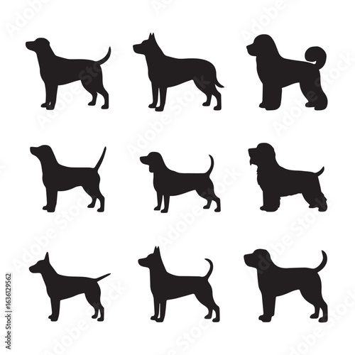 Collection of silhouetted dog breeds standing in profile against a white background