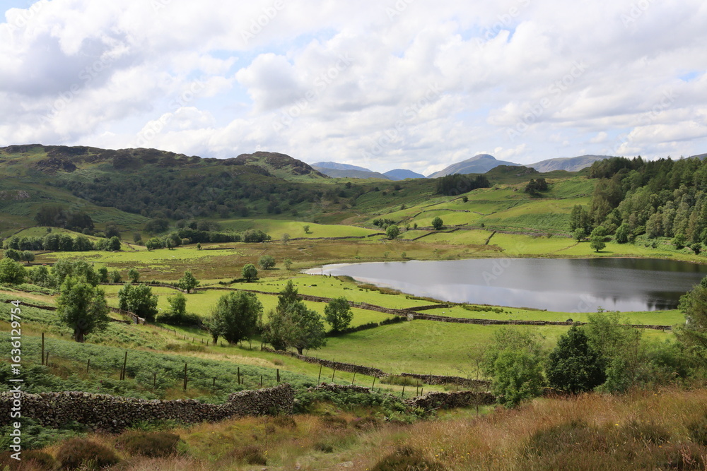 Fototapeta premium Lake district national park England, Borrowdale fells