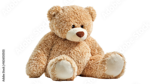 Large teddy bear plush Transparent background, PNG file