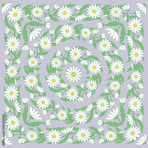 Wreaths of white chamomiles with green leaves on a lilac background. Floral vector square pattern.