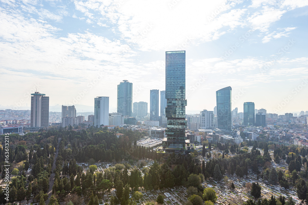 Fototapeta premium İstanbul City Skyline