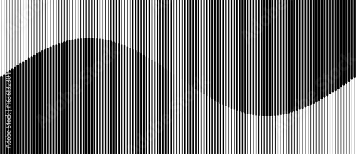 Abstract art geometric background with vertical lines. Optical illusion with waves and transition. Black lines on white background.