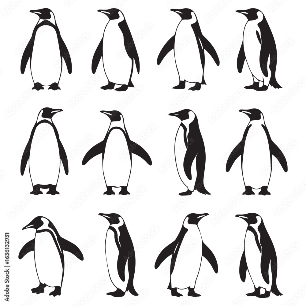 Fototapeta premium Set of twelve penguin illustrations in various poses isolated on white background, perfect for wildlife projects, educational materials, or adding a touch of antarctic charm