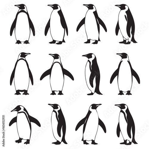 Set of twelve penguin illustrations in various poses isolated on white background, perfect for wildlife projects, educational materials, or adding a touch of antarctic charm