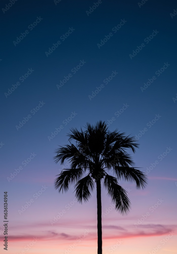 Obraz premium Silhouette of a Palm Tree at Sunset
