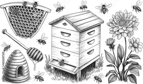 Beehive sketch, black and white bee drawing, detailed apiary illustration, honey bees, beekeeping artwork, honeycomb scene, natural garden sketch
