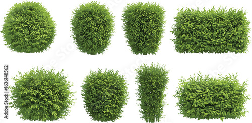 Green garden bushes set, isolated hedge collection, trimmed foliage shrubs, landscaping elements