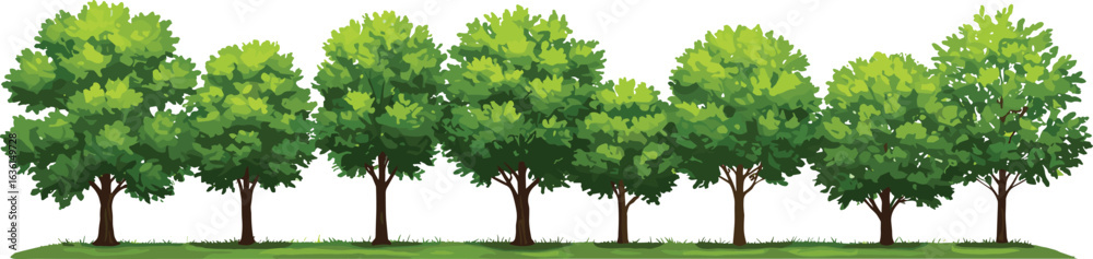 Fototapeta premium Eight lush green trees standing in a row on grassy ground, isolated on white background, vibrant nature landscape
