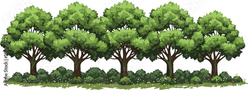 Row of five trees, green leafy canopy, thick brown trunks, dense bushes, grassy ground with flowers, natural outdoor forest, scenic landscape