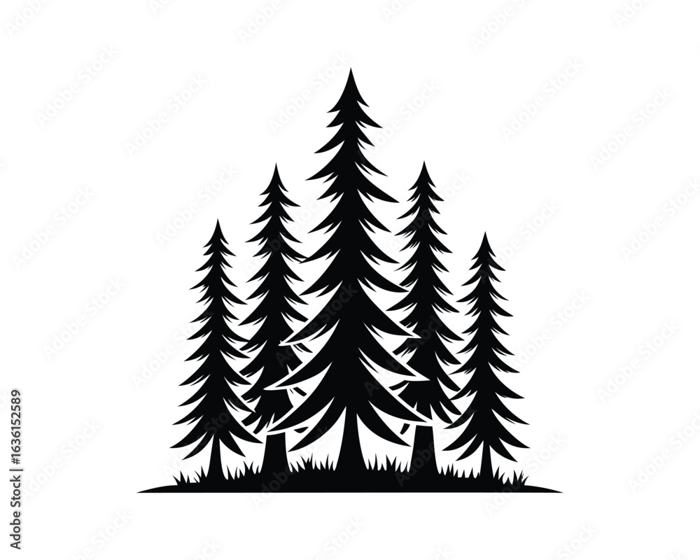 Fototapeta premium Pine Tree Forest Silhouette