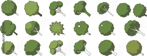 Top view angled tree collection, green crowns and trunks, vector set for landscaping, nature design illustration