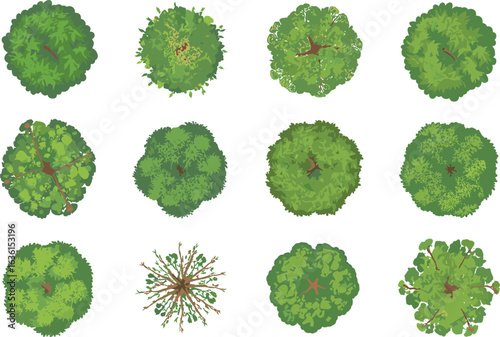 Top view colorful tree crowns, foliage set, urban design element, landscaping vector, nature graphic collection