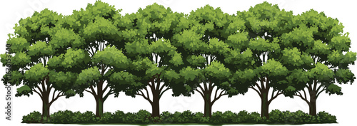 Row of six trees, lush green trees, dense leafy trees, natural forest, garden landscape, tree trunks, outdoor scenery, bushy plants, healthy foliage