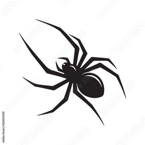 A creepy black spider with hairy legs is isolated on a clean white background