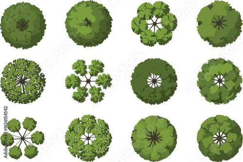 Top view stylized trees, green foliage vector, landscape element set, urban planning, eco design graphic