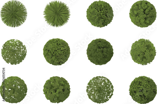 Top view tree collection, green foliage, dark background, vector set, landscape design, plant crown shapes