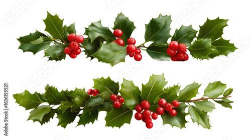 Holly sprigs with red berries festive Christmas decoration greenery winter holidays