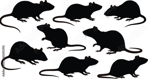 Rat silhouettes in various poses, black rodent vector, animal behavior illustration, pest control design, natural stance, tail, ears, feet