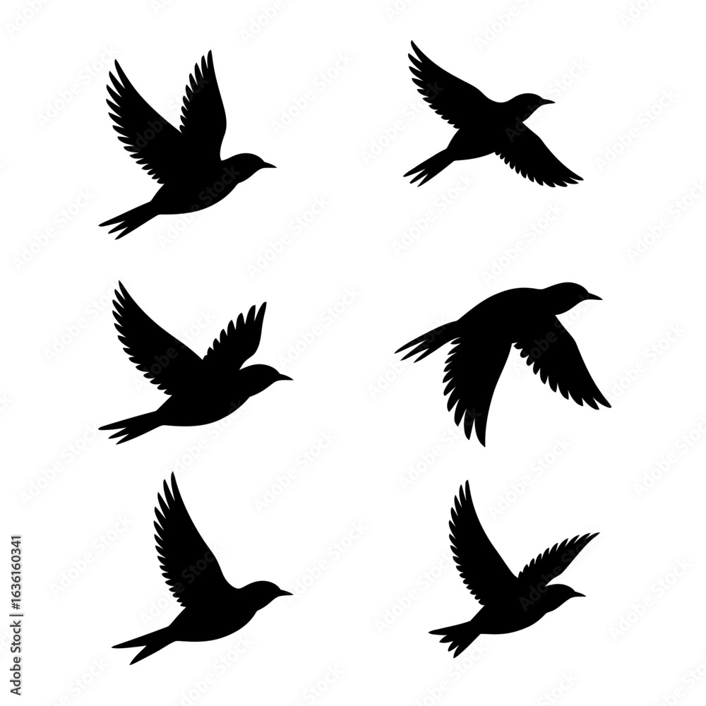 Fototapeta premium silhouette of a flock of birds flying in various positions