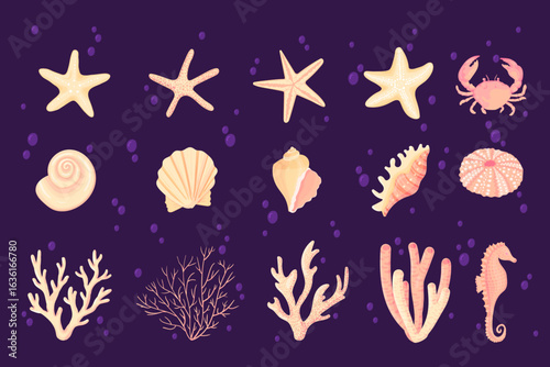 Seashells vector set. Collection of flat, cartoon sketches of molluscs sea shells, starfish, sea urchin, seahorse, hippocampus, crab, coral. Trendy coral reef under water collection isolated on white
