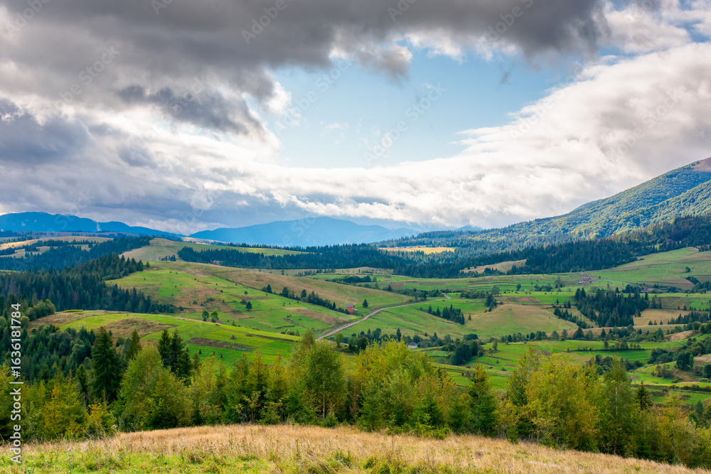 Obraz premium mountain landscape in early autumn for travel. alpine scenery with forest in colorful foliage. beautiful countryside valley with rolling hills. view of carpathian range under sky with clouds