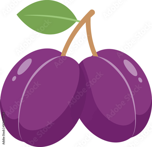 Fresh plums duo healthy fruit illustration