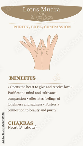Lotus Mudra Hand Gesture Illustration