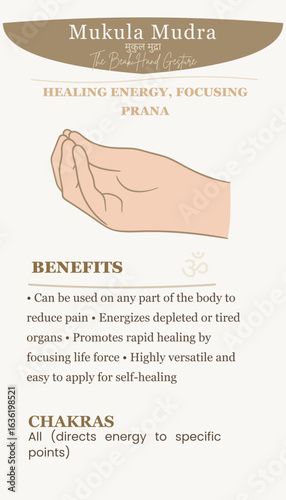 Mukula Mudra Hand Gesture for Healing Energy