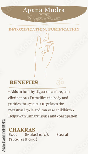 Apana Mudra Hand Gesture for Detoxification