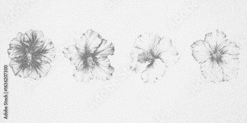 Set of flower drawings. Geometric figure with noisy halftone fill, subtle scratch texture, and ink smudge edges. Paper grit throughout.