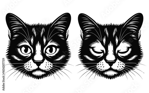Two Black and White Cat Faces One Winking illustration