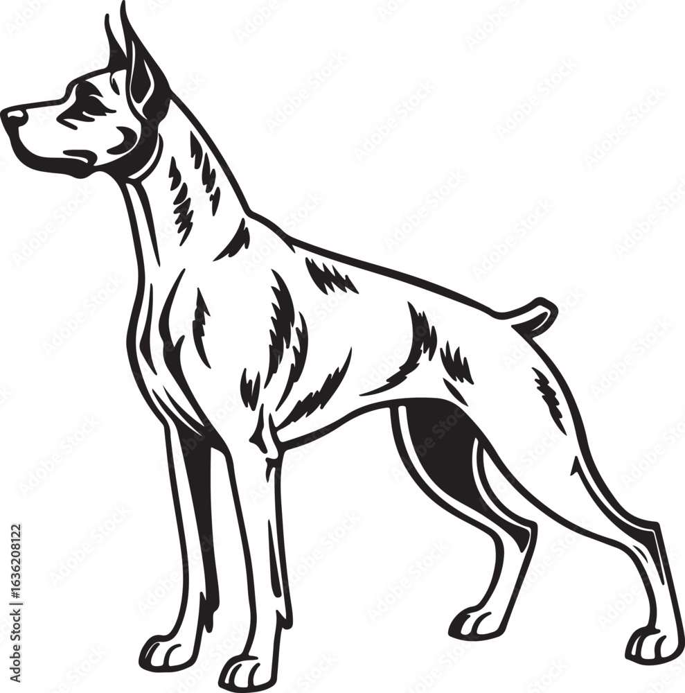 Fototapeta premium Drever dog vector art silhouette image
