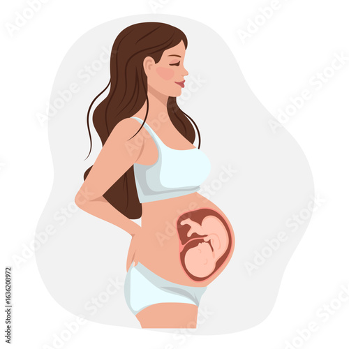 Pregnant woman, visualization of the fetus in the third trimester of pregnancy. Educational medical infographics on gynecology, women's health, and the reproductive system. Vector illustration.