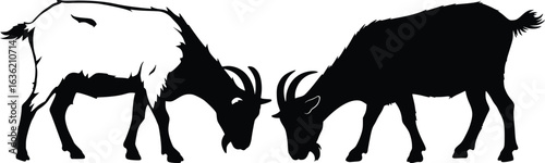 Silhouette of two goats in opposite profile views with prominent curved horns and sturdy builds