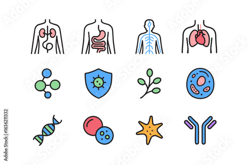 Human body system and immunology colorful icon set. Health science biology symbols collection. Immune system, molecule, DNA and body structure element design pack. Medical research sign bundle