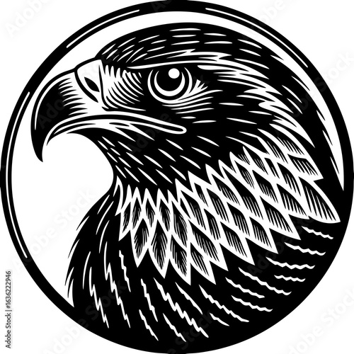 eagle head vector illustration
