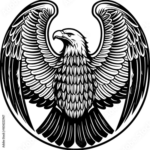eagle with wings vector illustration
