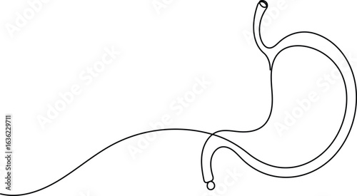 Human stomach icon continuous one line drawing for anatomy and medical design concepts